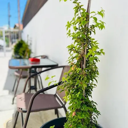 - - Sleeps 4 - Garden - Parking 公寓 *