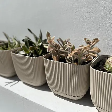 - - Sleeps 4 - Garden - Parking Apartamento Larnaca