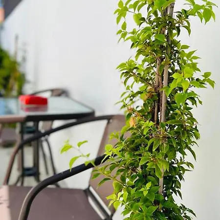 - - Sleeps 4 - Garden - Parking Apartamento Larnaca