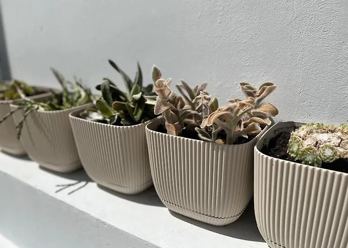 - - Sleeps 4 - Garden - Parking شقة لارنكا